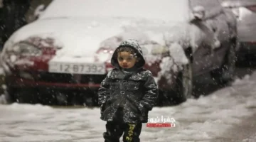 تفاصيل من الأرصاد.. موعد تساقط الثلوج في المناطق الجبلية 2025